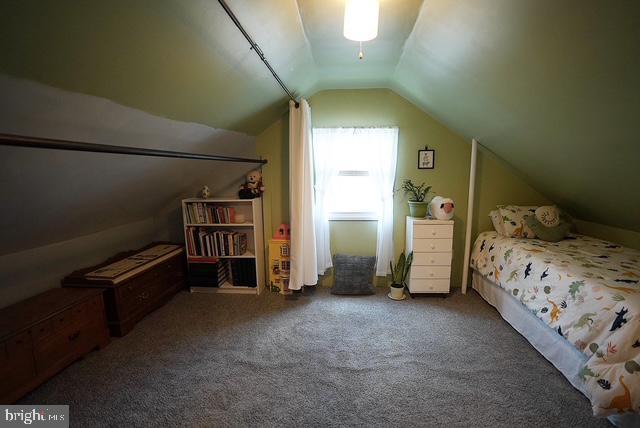 bedroom featuring lofted ceiling and carpet flooring