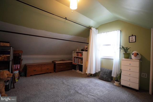 additional living space featuring vaulted ceiling and carpet