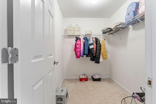 walk in closet featuring carpet flooring