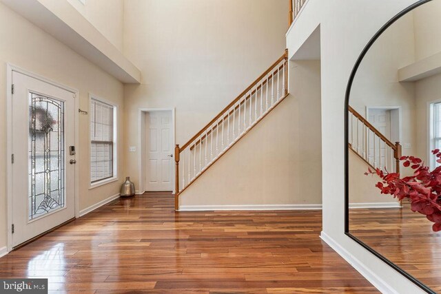 foyer with a high ceiling, hardwood / wood-style floors, and plenty of natural light