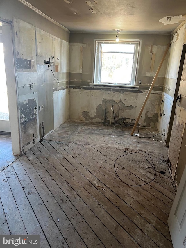 kitchen featuring light hardwood / wood-style flooring