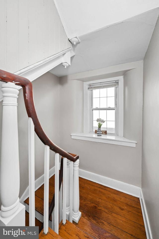 staircase featuring hardwood / wood-style flooring