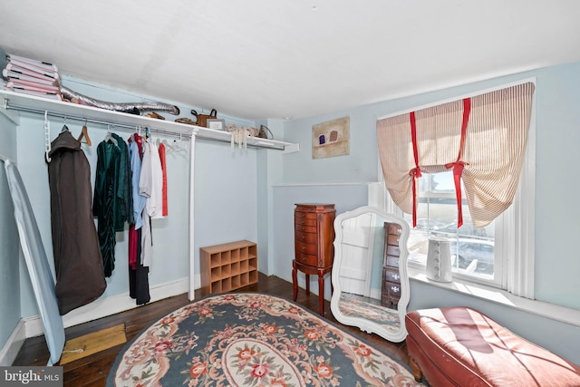 walk in closet featuring dark hardwood / wood-style flooring