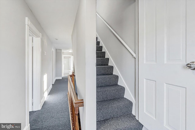 stairs with carpet flooring