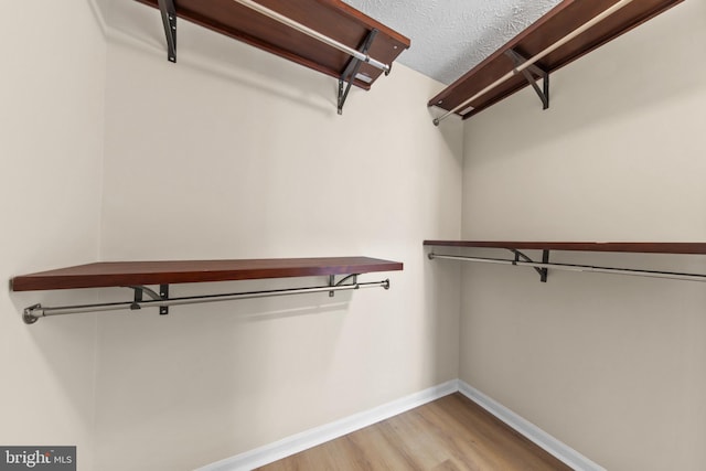 walk in closet featuring light wood-type flooring