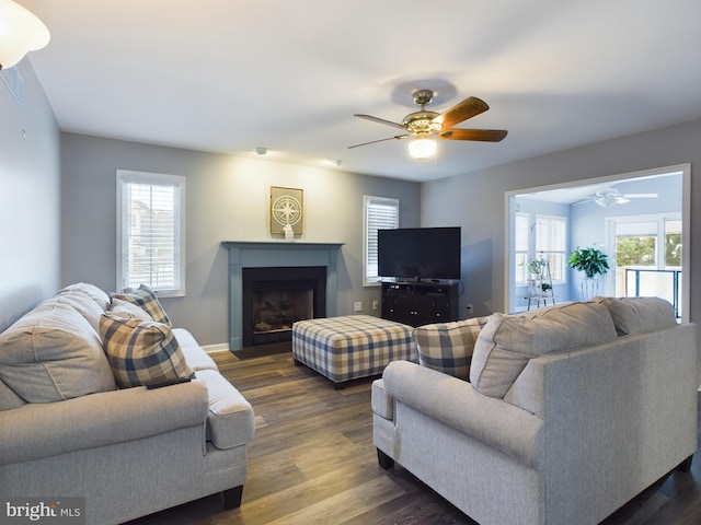 living room featuring ceiling fan, dark hardwood / wood-style floors, and a healthy amount of sunlight