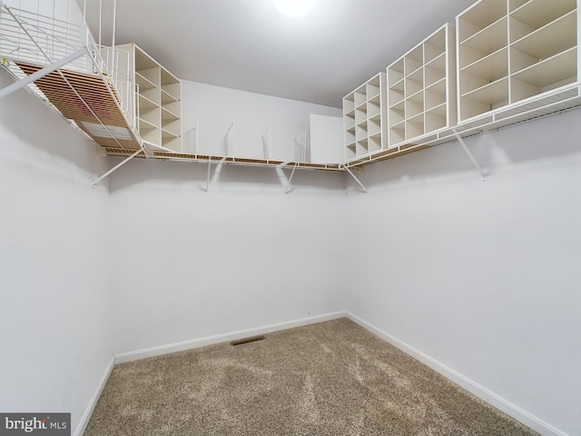 walk in closet featuring carpet floors