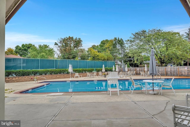 view of pool with a patio area