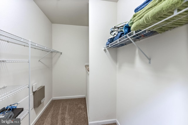 walk in closet with carpet flooring