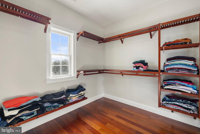 walk in closet featuring dark hardwood / wood-style floors