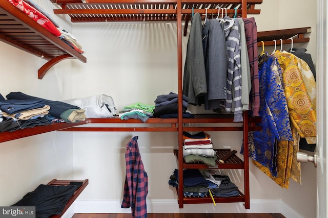 spacious closet with hardwood / wood-style floors