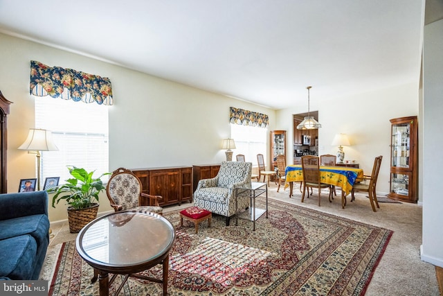 living room featuring carpet flooring