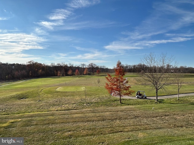 surrounding community featuring a yard