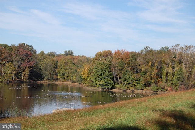 100 Bolero Dr, Downingtown, PA 19335 - water view with a forest