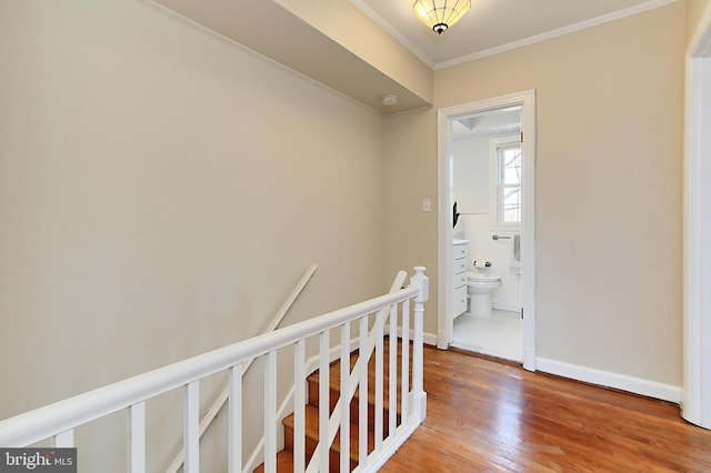 corridor with ornamental molding and hardwood / wood-style floors