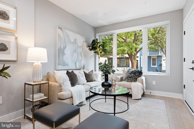 living room featuring light hardwood / wood-style flooring