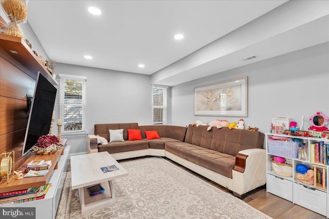 living room with wood-type flooring