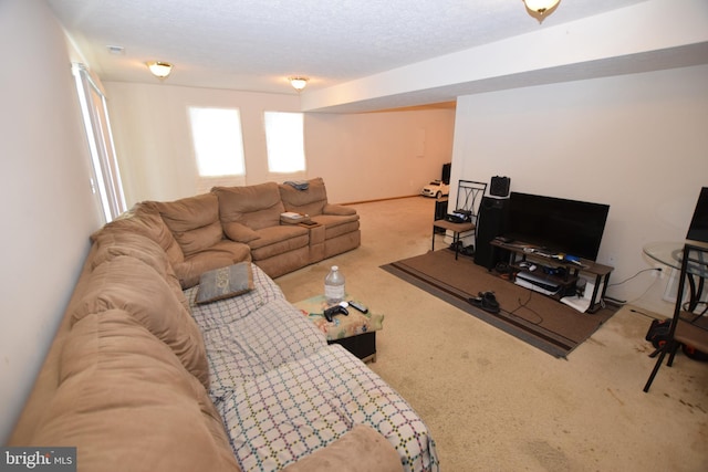 living room featuring a textured ceiling and carpet