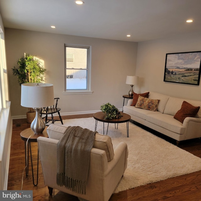 living room featuring hardwood / wood-style floors