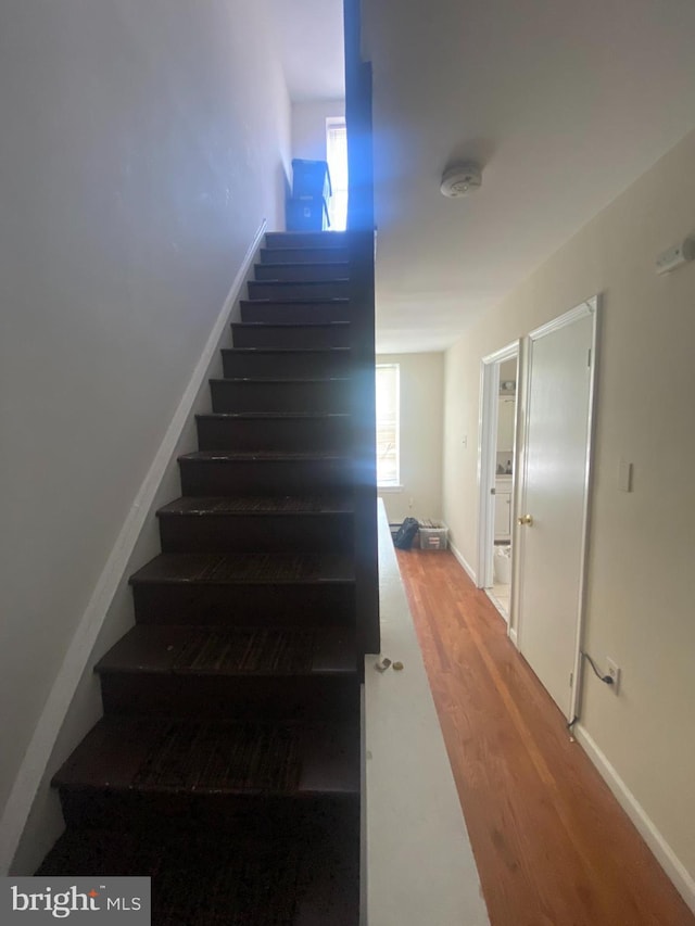 stairway featuring wood-type flooring