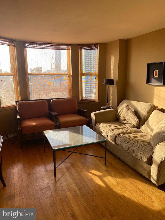 living room featuring wood-type flooring