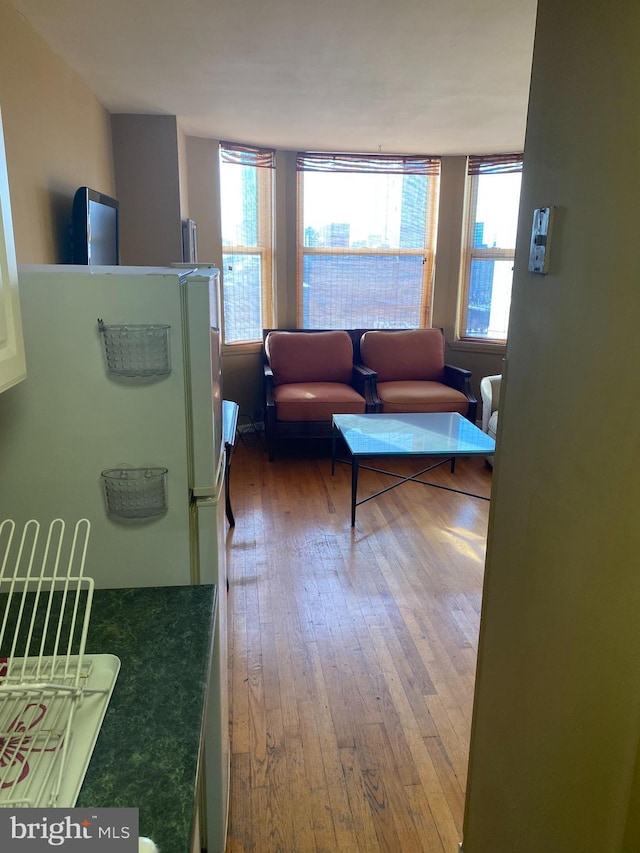 living room with a healthy amount of sunlight and wood-type flooring