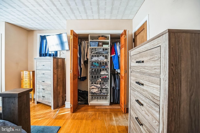 view of closet