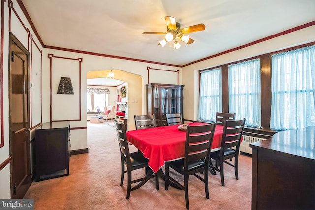 carpeted dining room with crown molding, ceiling fan, and radiator