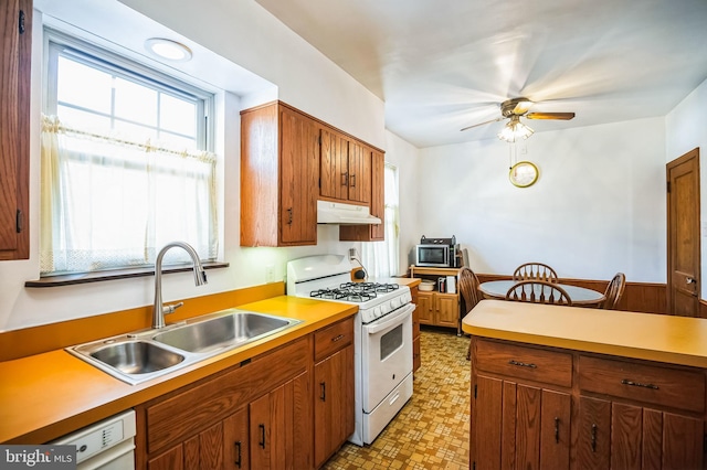 kitchen with white appliances, ceiling fan, plenty of natural light, and sink