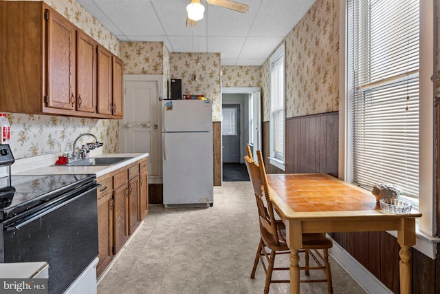 kitchen with a paneled ceiling, white fridge, black electric range oven, ceiling fan, and sink