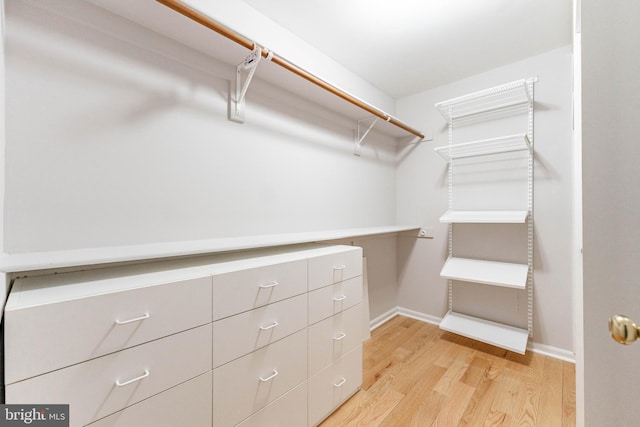 spacious closet featuring light hardwood / wood-style flooring