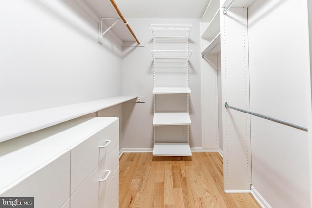 walk in closet with light hardwood / wood-style flooring