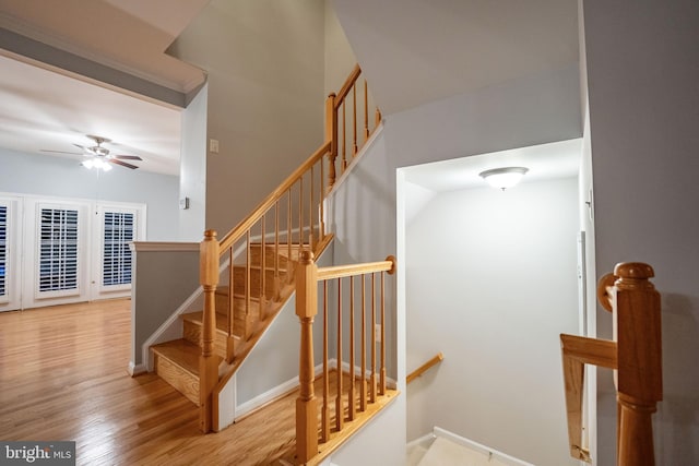 staircase featuring hardwood / wood-style floors and ceiling fan