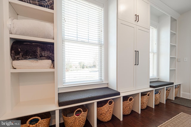 mudroom with dark wood-style flooring