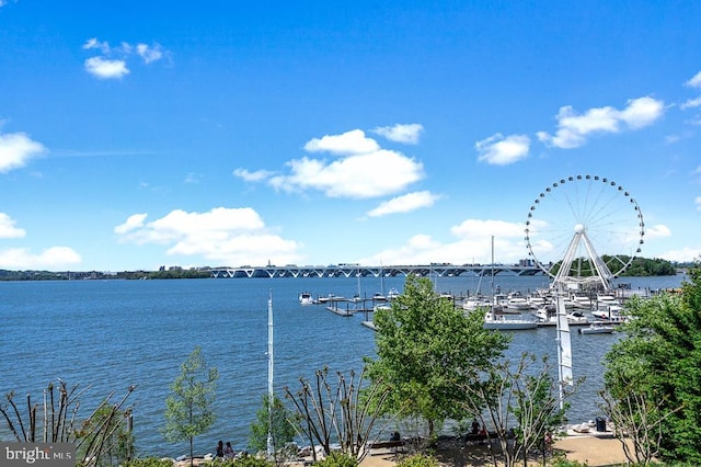 water view featuring a dock