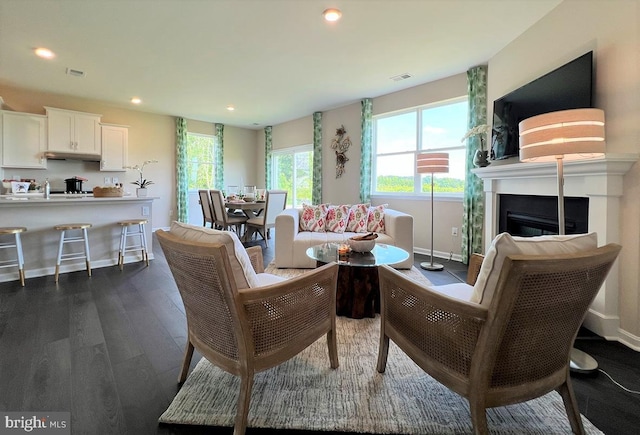 living room with dark wood-type flooring