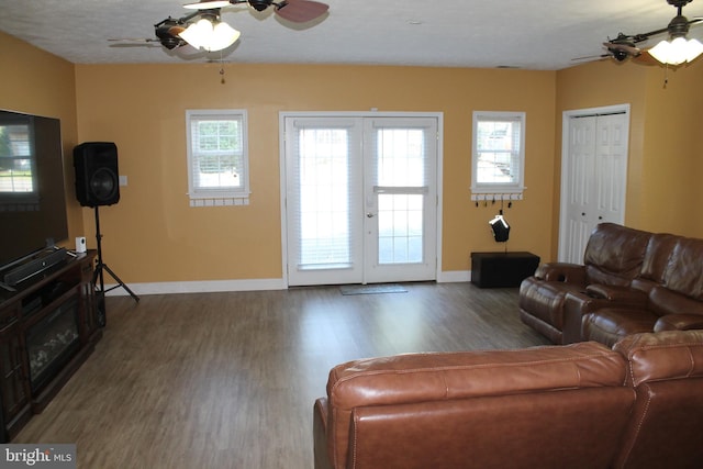 living room featuring dark wood-type flooring and french doors