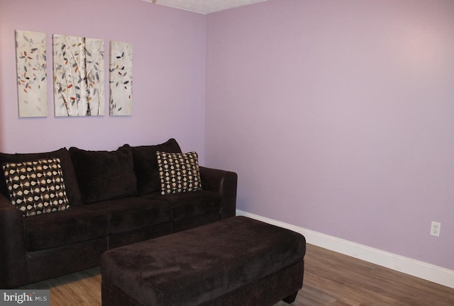 living room with hardwood / wood-style floors