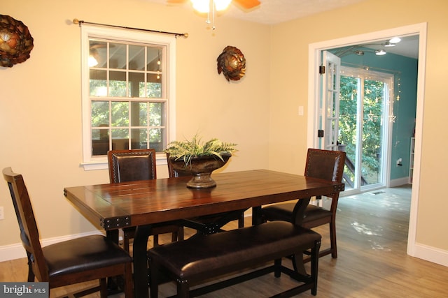 dining area with ceiling fan and light wood-type flooring