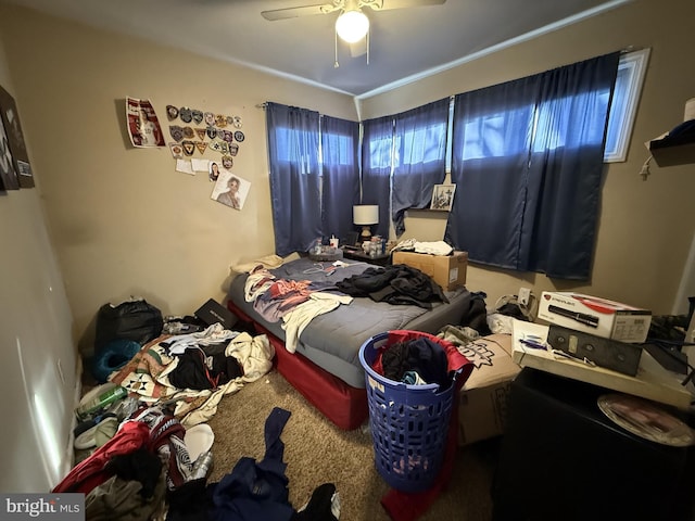 bedroom featuring ceiling fan, carpet, and multiple windows