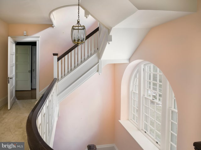 stairs featuring an inviting chandelier, lofted ceiling, and carpet