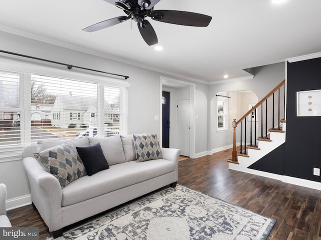 living room with dark wood-type flooring, ornamental molding, and ceiling fan