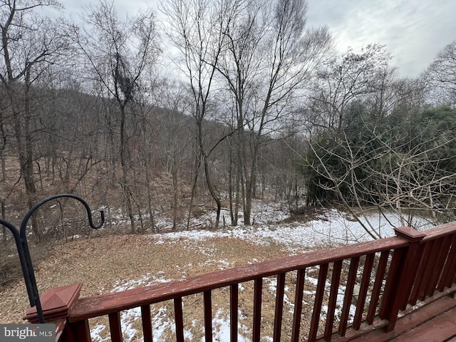 view of snowy yard