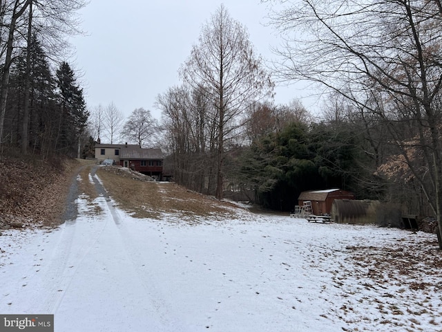 view of snowy yard