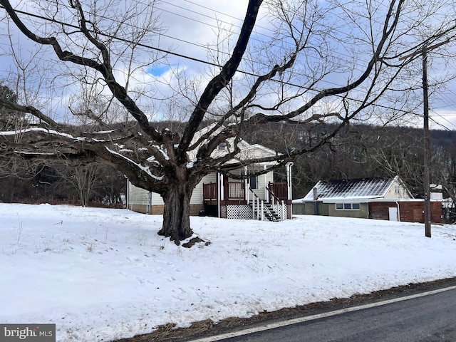 view of yard covered in snow