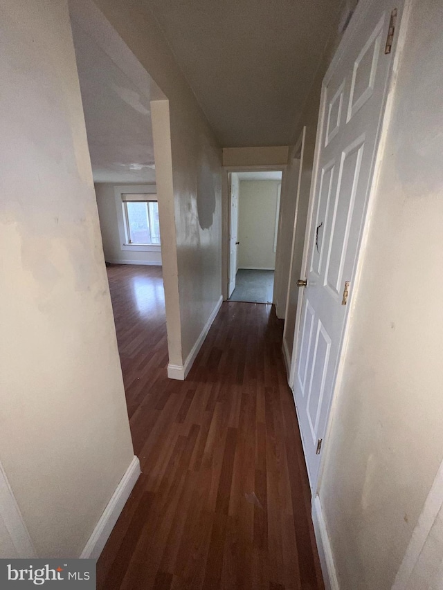 hall with dark hardwood / wood-style flooring