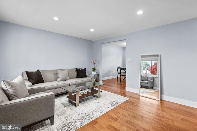 living room featuring hardwood / wood-style floors