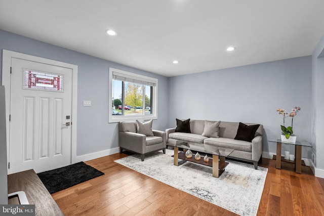 living room featuring wood-type flooring