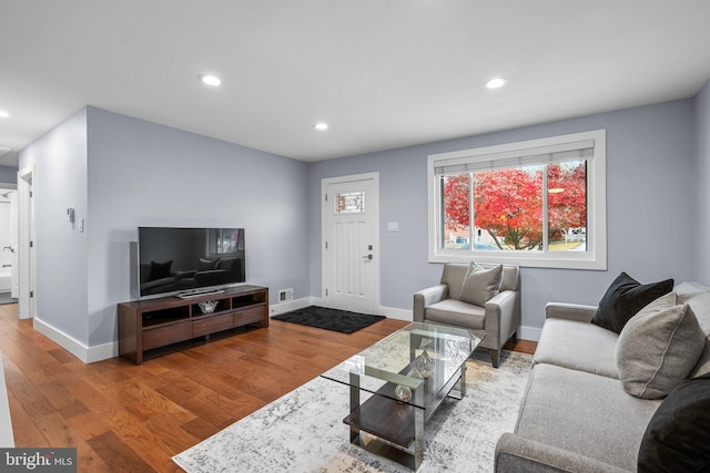 living room with hardwood / wood-style flooring