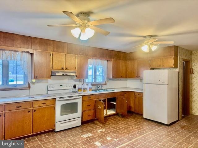 kitchen with white appliances, ceiling fan, and sink